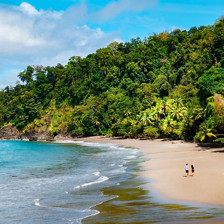 Corcovado Wilderness Lodge By Scp San Pedrillo エクステリア 写真