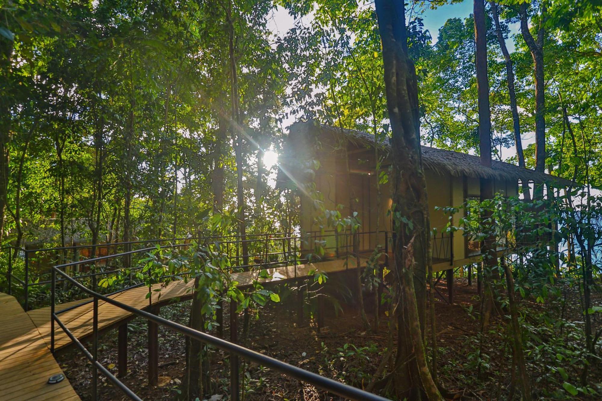 Corcovado Wilderness Lodge By Scp San Pedrillo エクステリア 写真