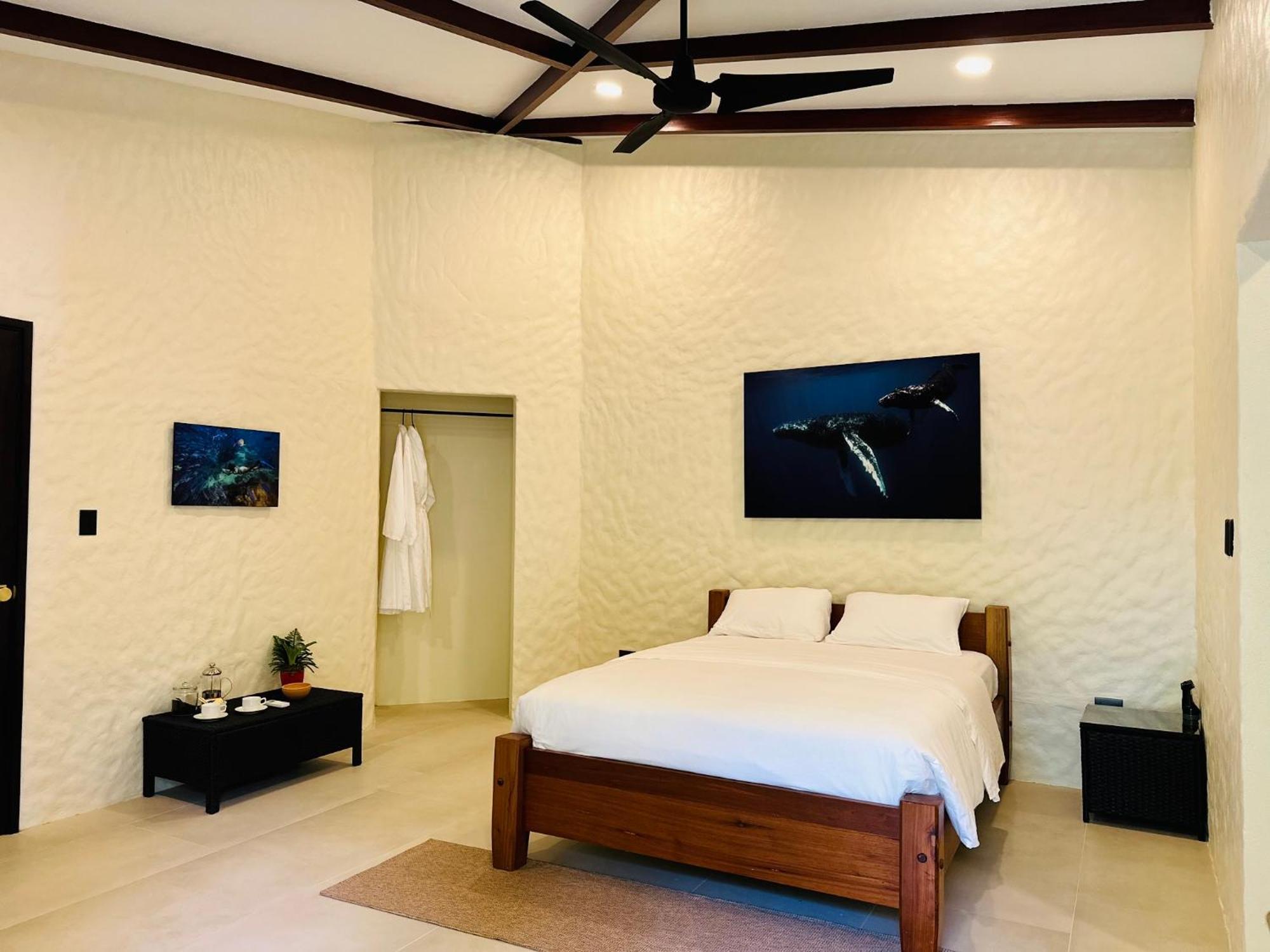 Corcovado Wilderness Lodge By Scp San Pedrillo エクステリア 写真