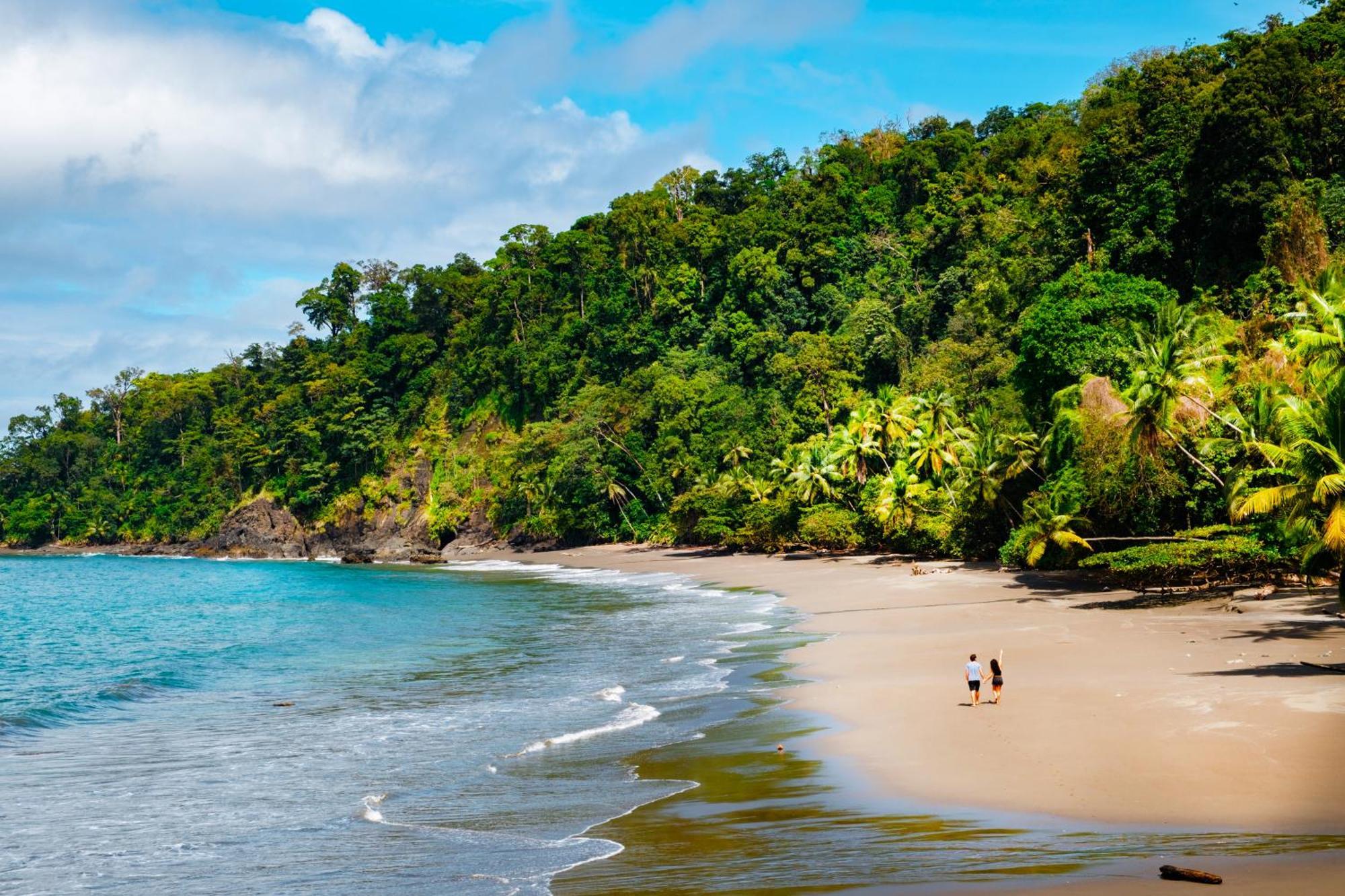 Corcovado Wilderness Lodge By Scp San Pedrillo エクステリア 写真