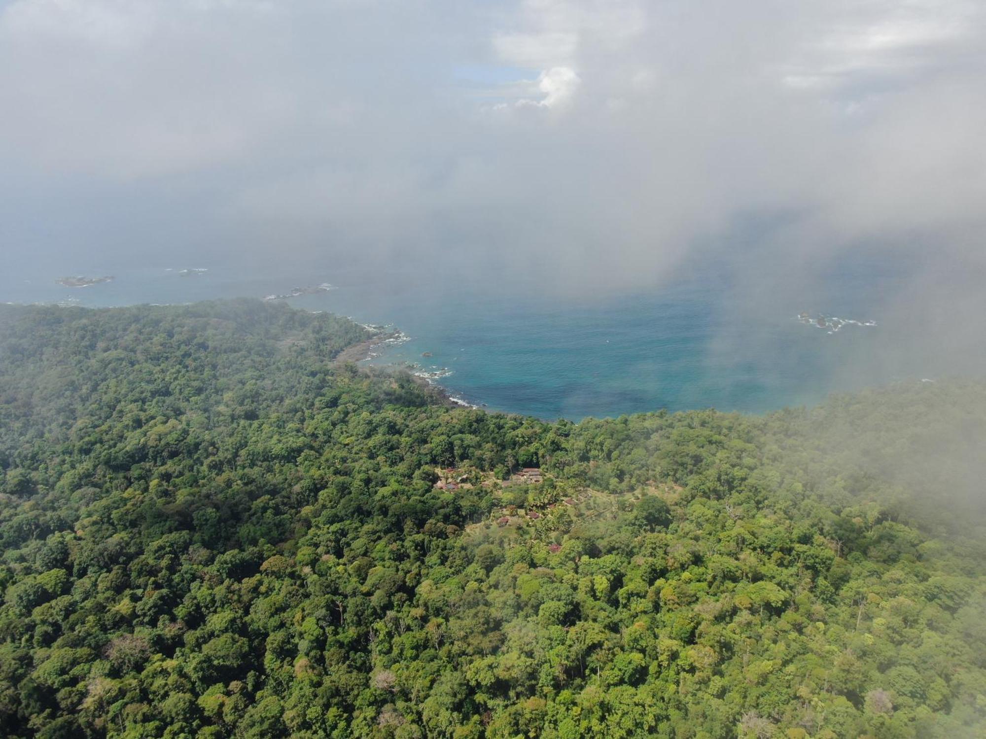 Corcovado Wilderness Lodge By Scp San Pedrillo エクステリア 写真
