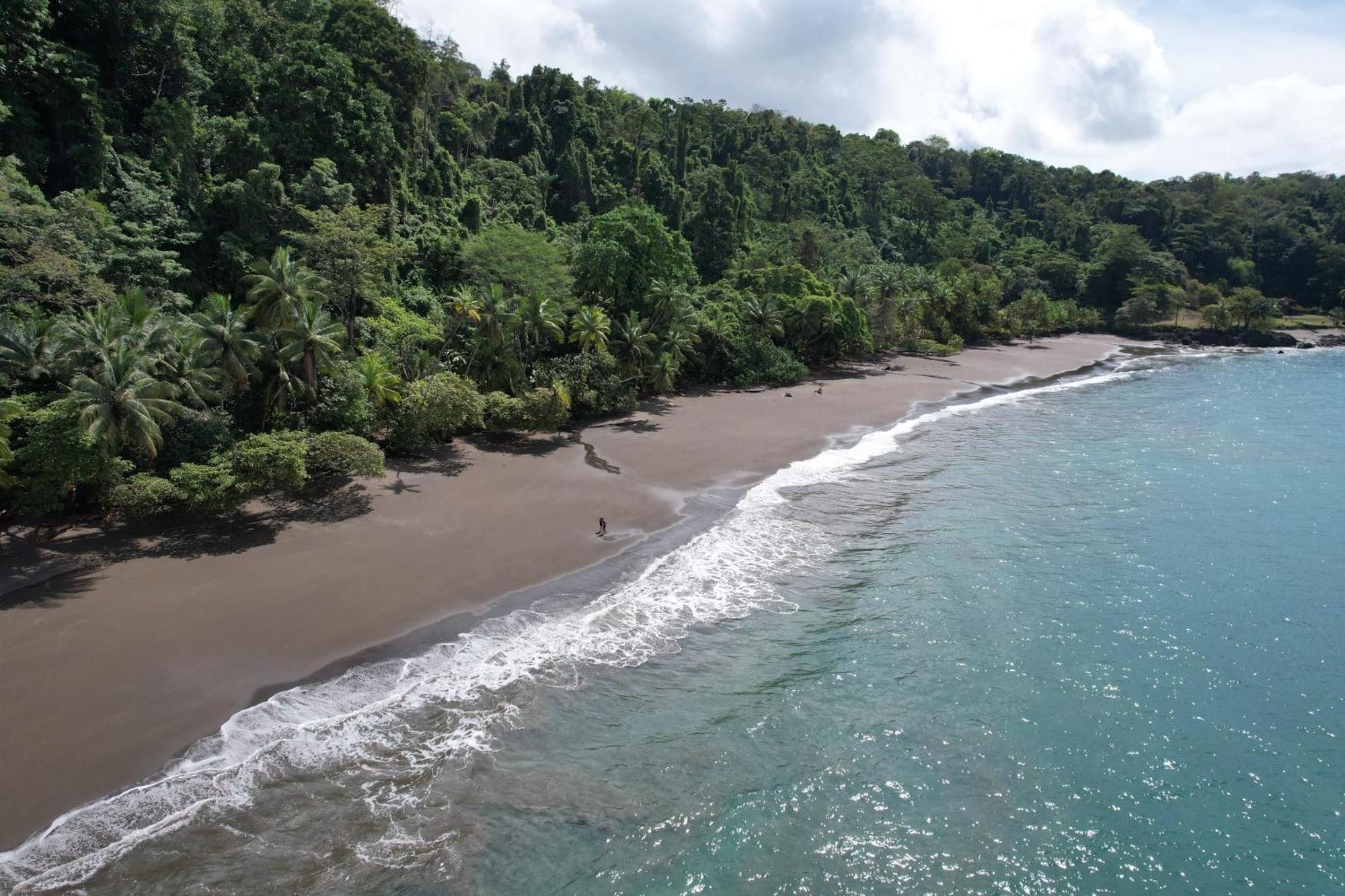 Corcovado Wilderness Lodge By Scp San Pedrillo エクステリア 写真