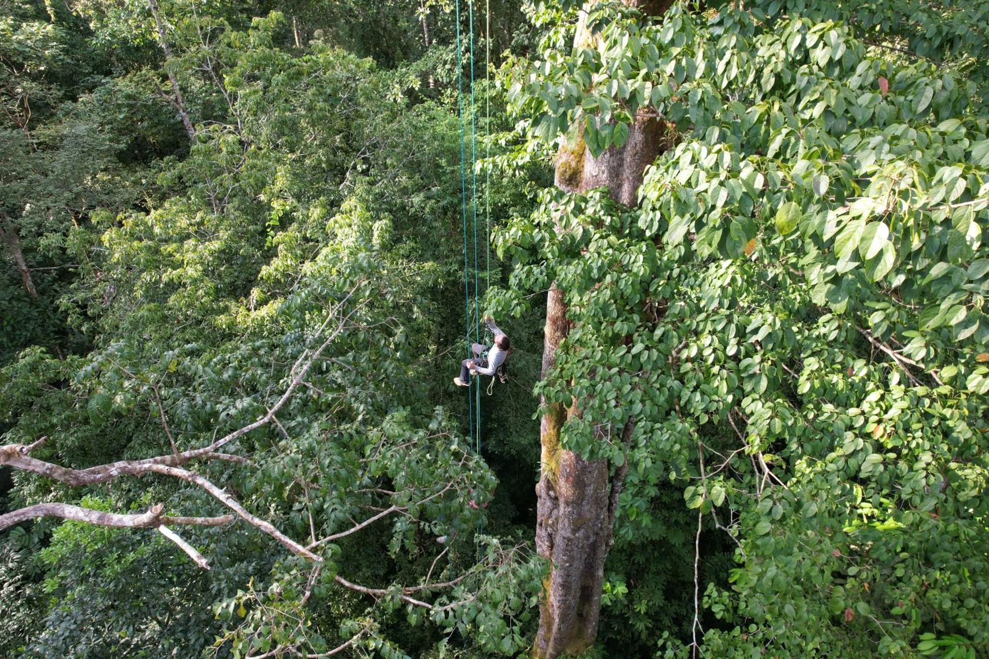 Corcovado Wilderness Lodge By Scp San Pedrillo エクステリア 写真