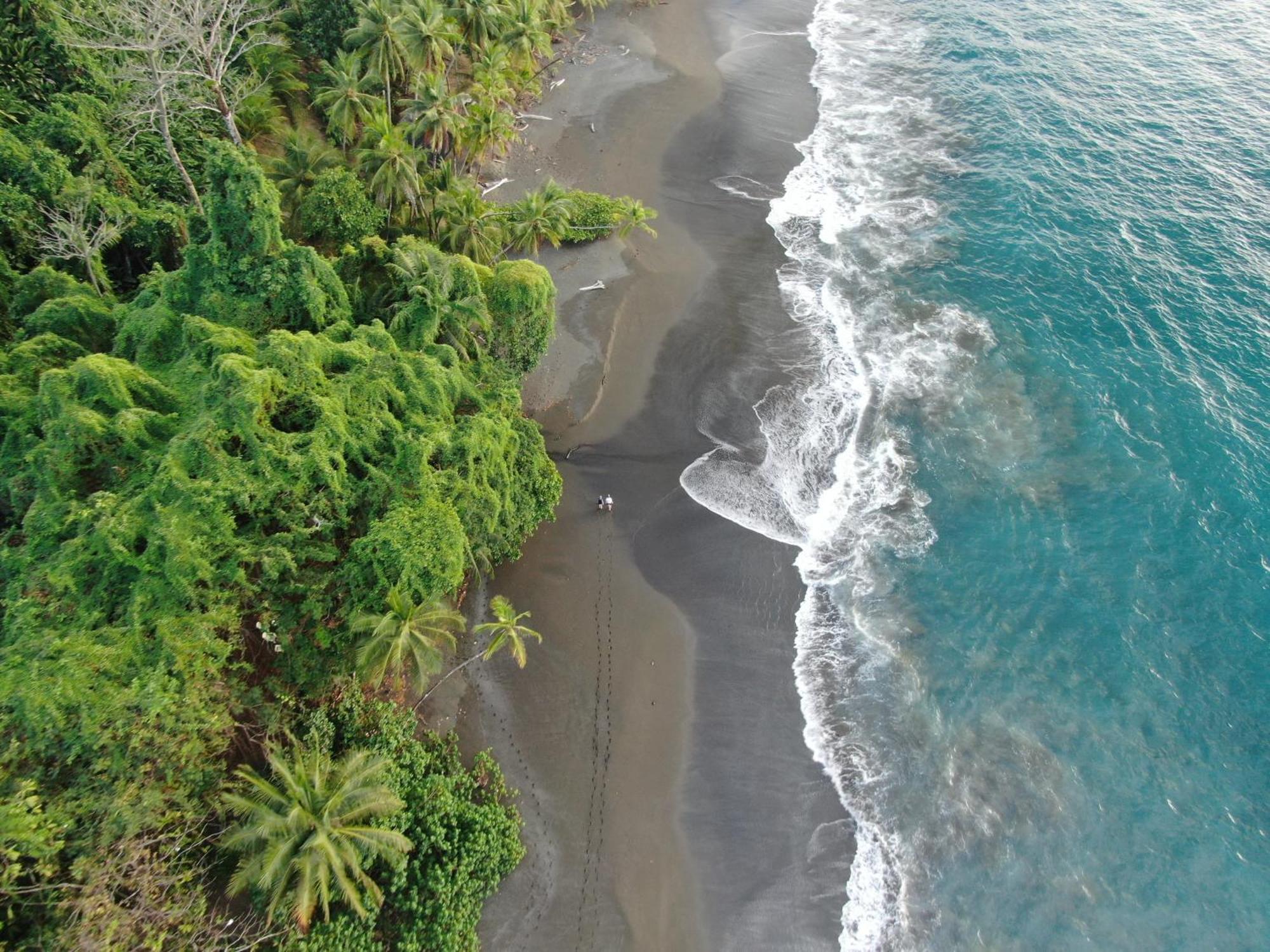 Corcovado Wilderness Lodge By Scp San Pedrillo エクステリア 写真