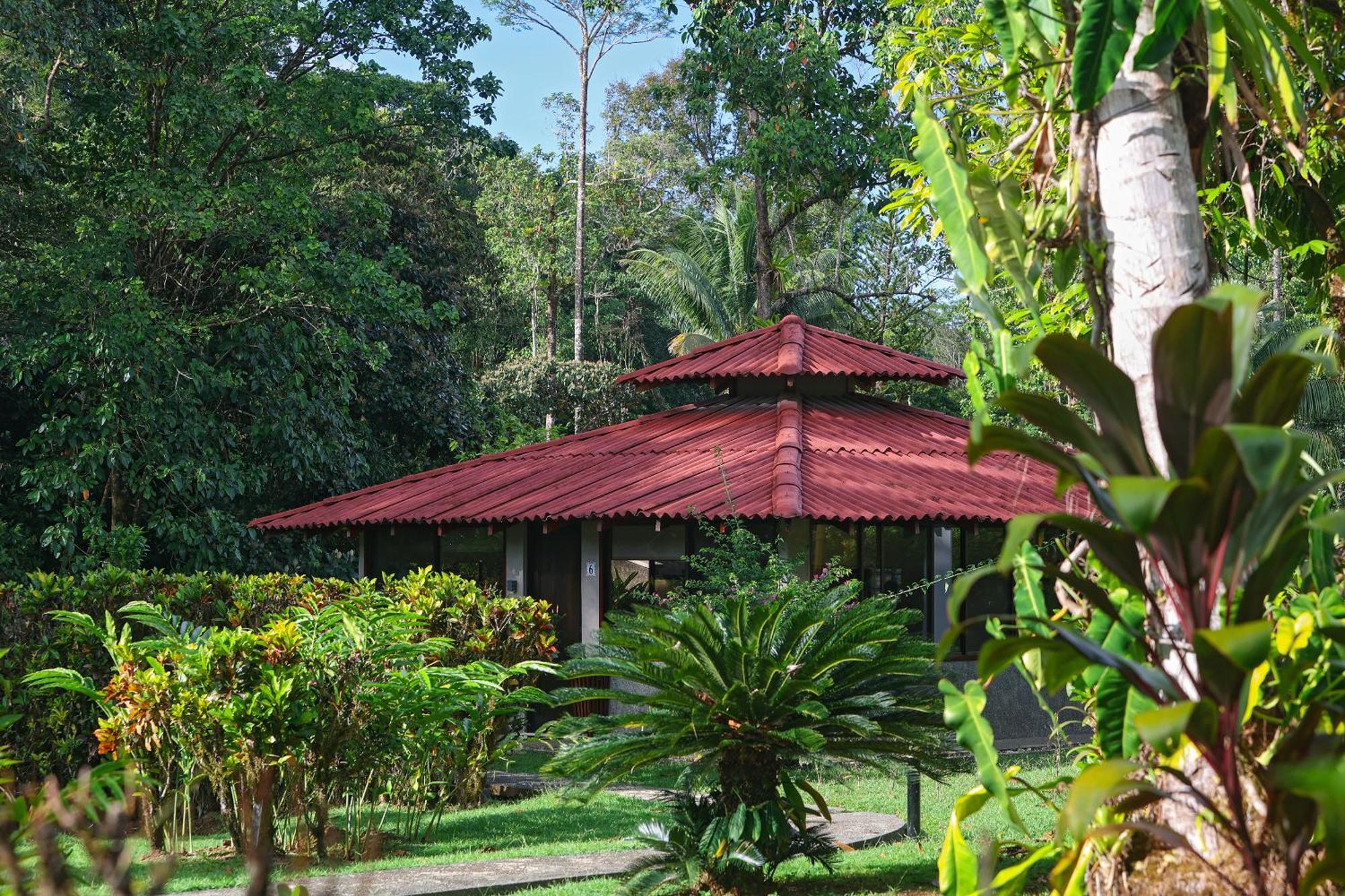 Corcovado Wilderness Lodge By Scp San Pedrillo エクステリア 写真